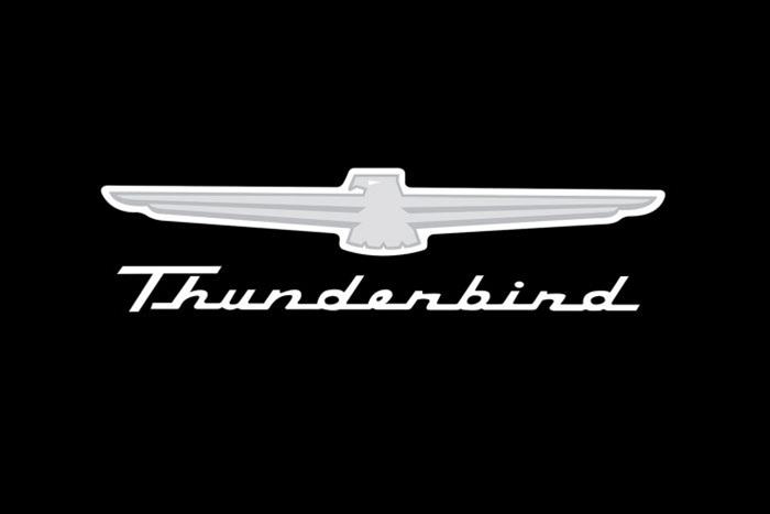 Fender Gripper Covers FG2110 Cover, Foam/Vinyl, Black, Thunderbird Logo, 22 in. x 34 in., Each thumbnail 2