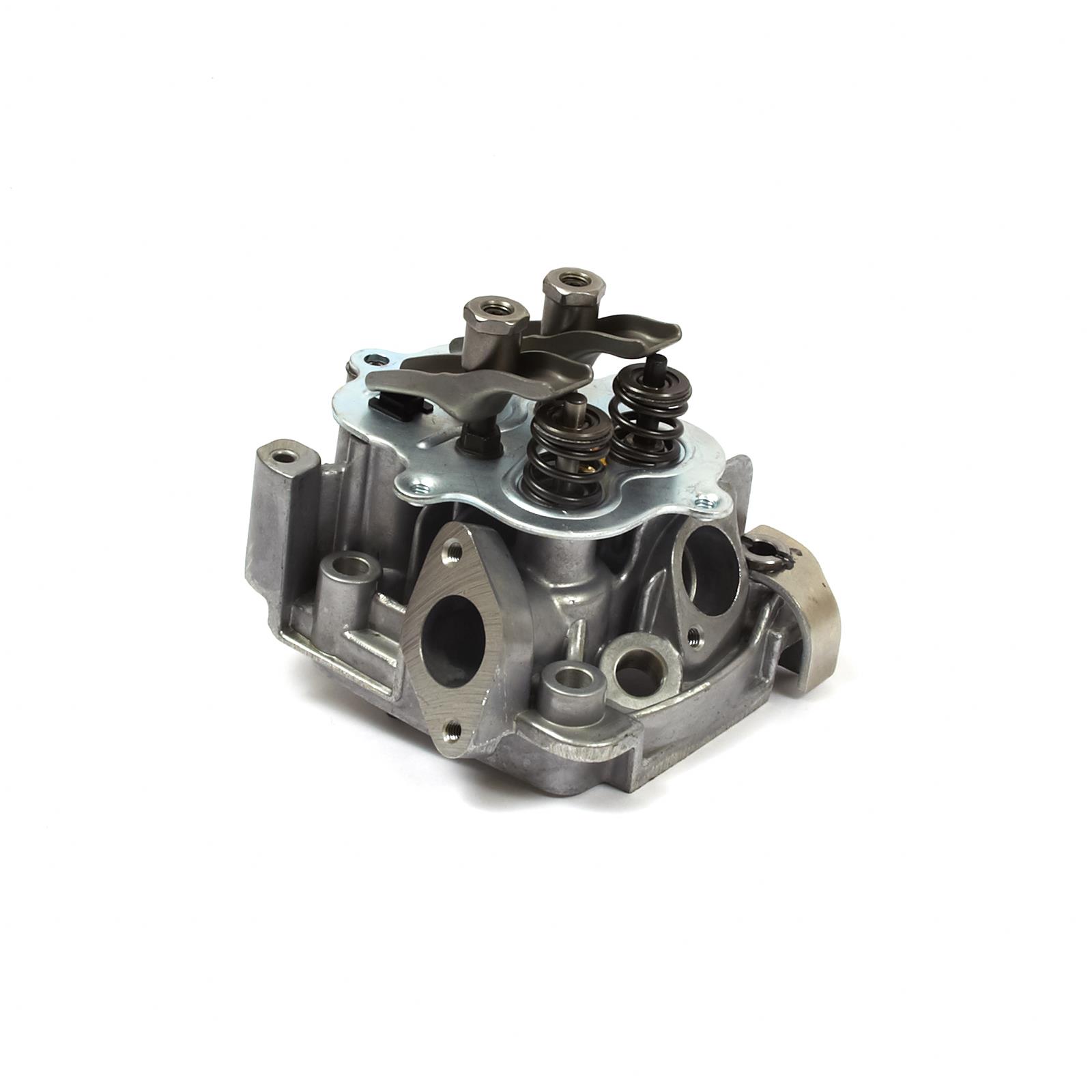 Briggs & Stratton 555635 Briggs & Stratton Animal Cylinder