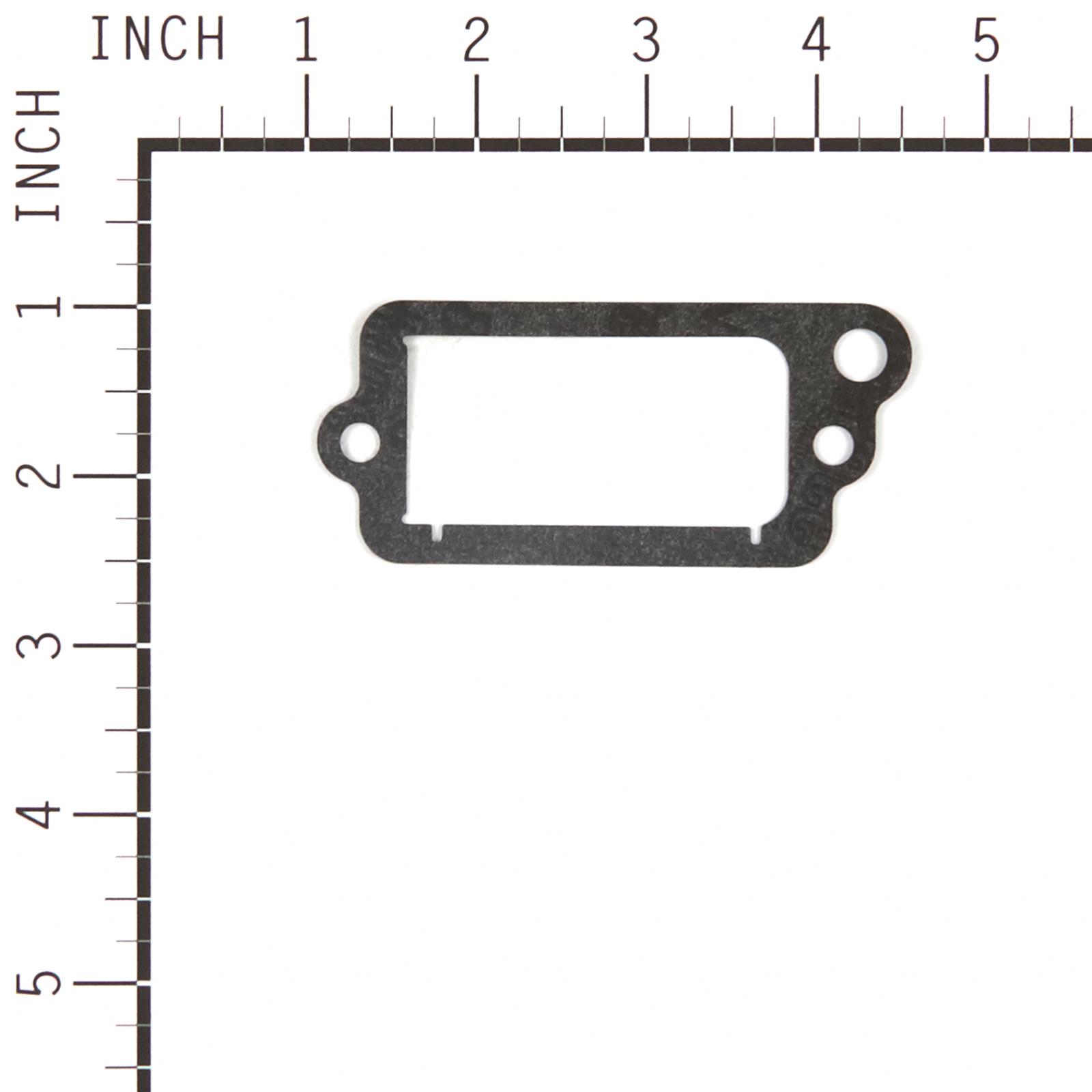 Briggs & Stratton 555689
