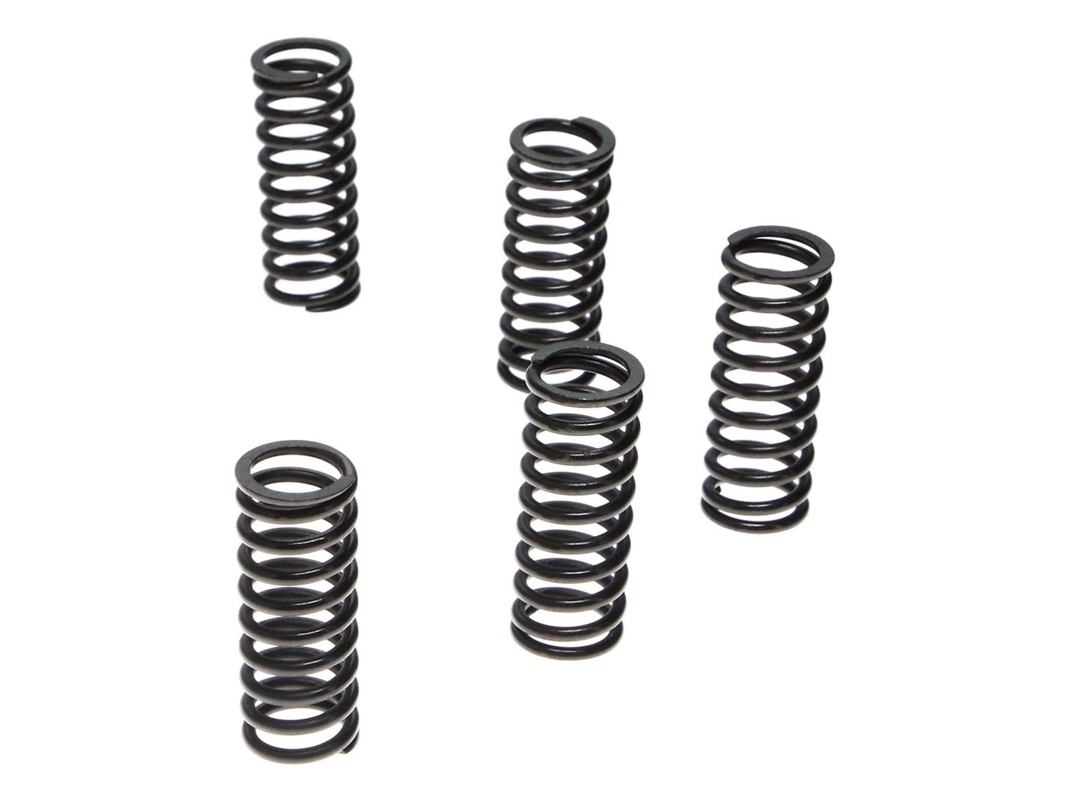 Pro-X Racing Parts 17.CS41013 Pro-X Racing Parts Clutch Spring