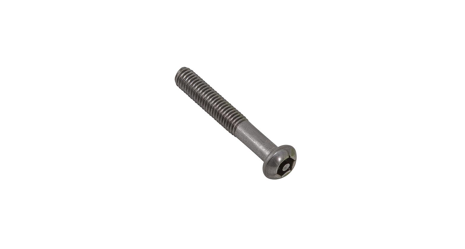 Rhino-Rack Bolts and Screws B085-BP M6 x 40mm Button Head Security Screw (Stainless Steel) (6 Pack)