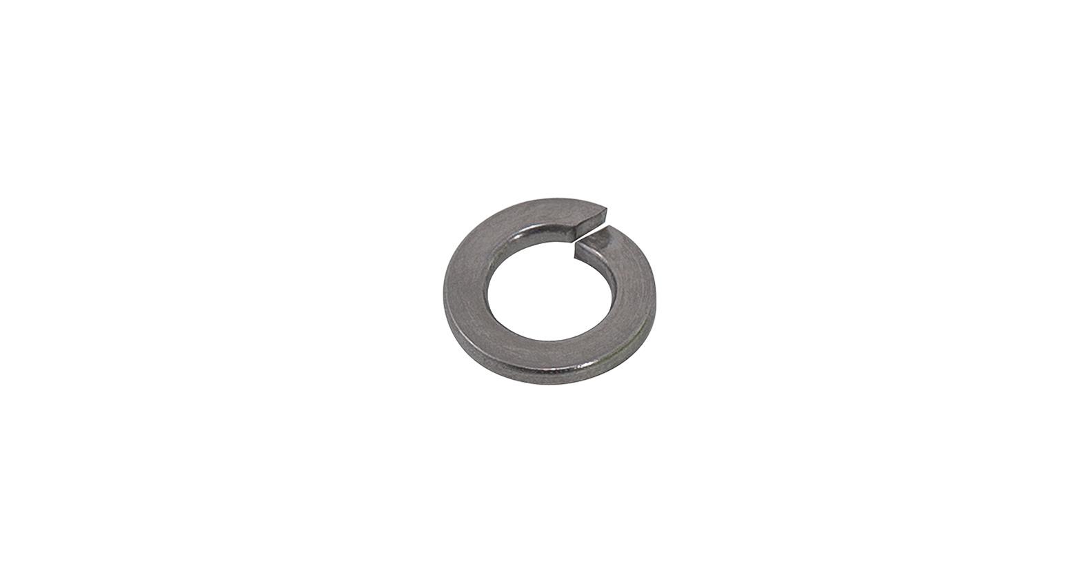 Rhino-Rack Roof Rack Components W019-BP M8 Spring Washer (Stainless Steel) (10 Pack)