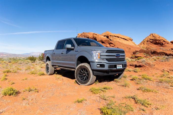 ReadyLift Suspension Lift Kits for 2015-2020 F-150 - 44-25620 Kit, Front and Rear, 6 in. Lift, Rear Shocks, Ford, Kit thumbnail 2
