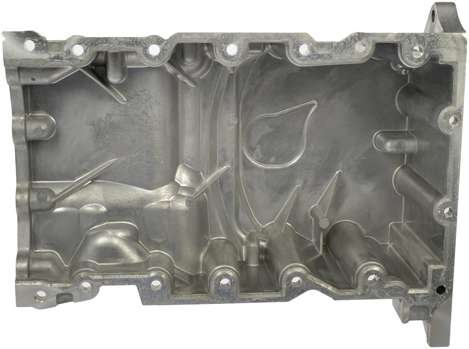 カメルーン産　トルカータツノハナムグリ　82mm 62mm Dorman 264-323 Dorman Oil Pans | Summit Racing