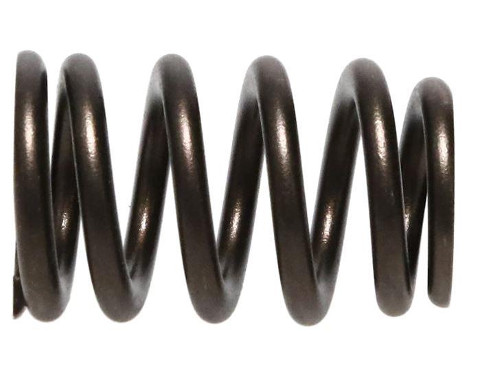 PAC Racing Springs PAC-1223 PAC Racing 1200 Series Valve Springs