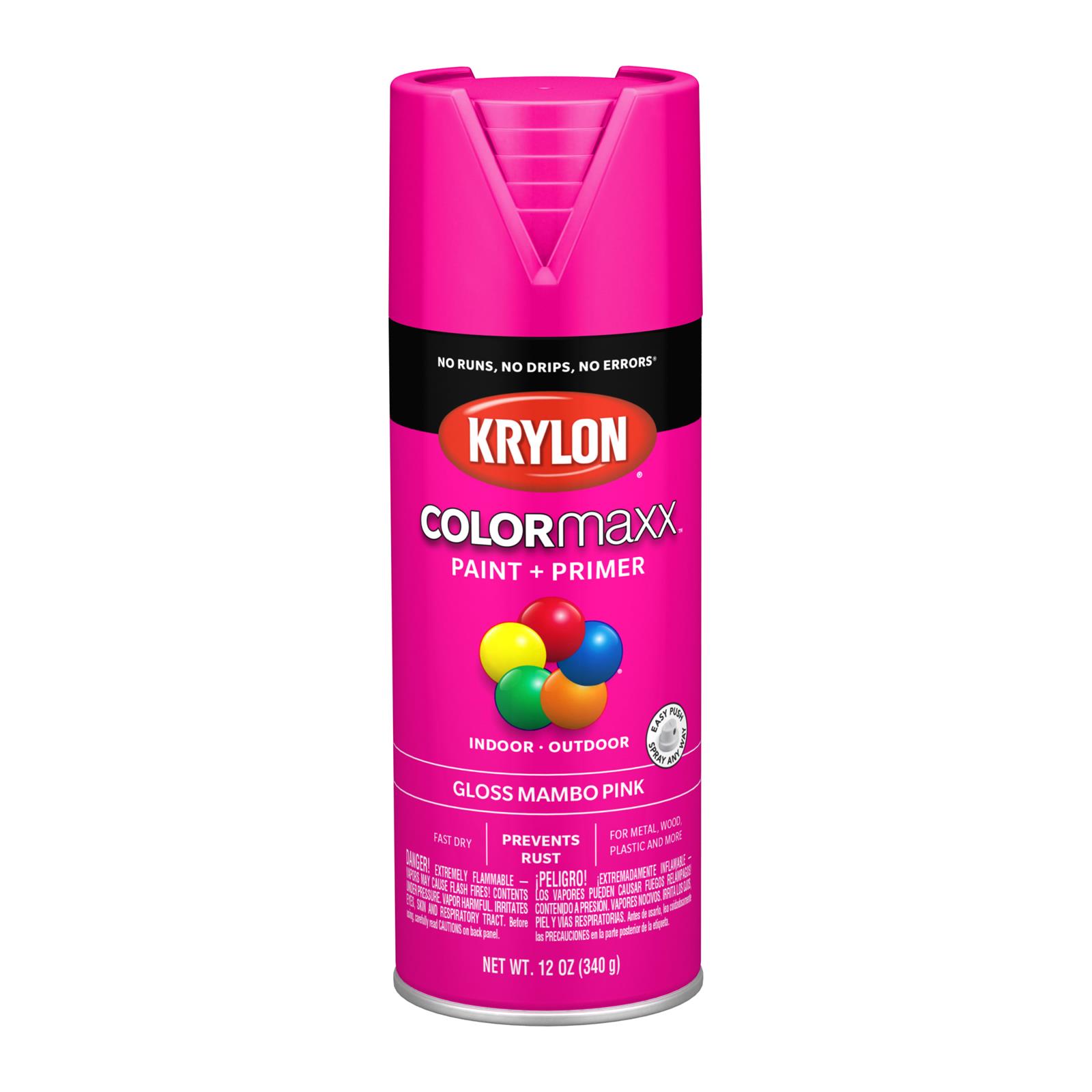 Krylon 5528 Krylon COLORmaxx Paint | Summit Racing