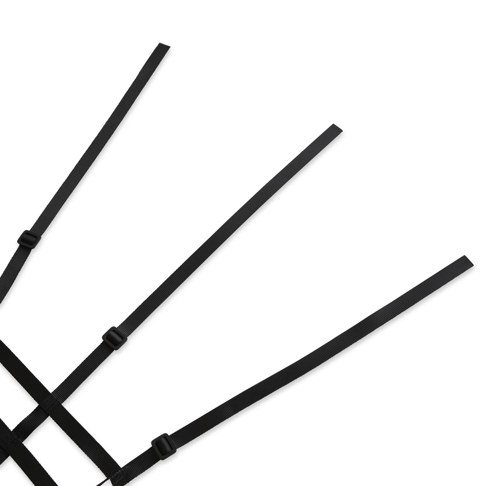 Simpson C5R Driver Window Nets DNC5RLP Net, Left Side, Triangle, Ribbon Style, Polypropylene, Black, SFI 37.1, Each thumbnail 4