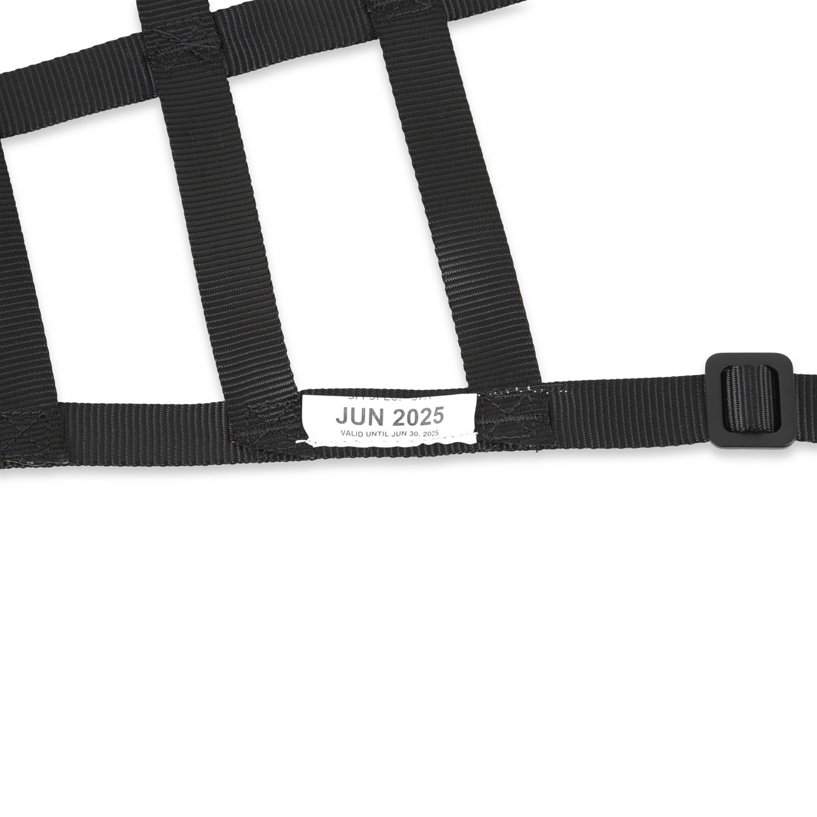 Simpson C5R Driver Window Nets DNC5RLP Net, Left Side, Triangle, Ribbon Style, Polypropylene, Black, SFI 37.1, Each thumbnail 3