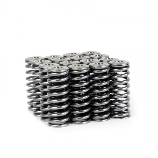 Skunk 2 344-05-1350 Skunk2 Racing Alpha Valve Springs/Retainer