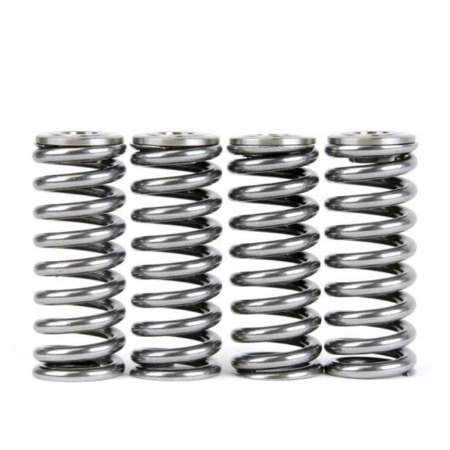 Skunk 2 344-05-1350 Skunk2 Racing Alpha Valve Springs/Retainer