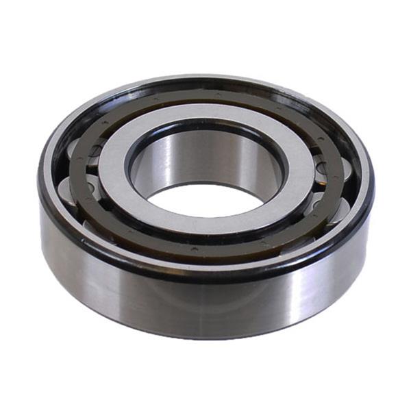 SKF Bearings