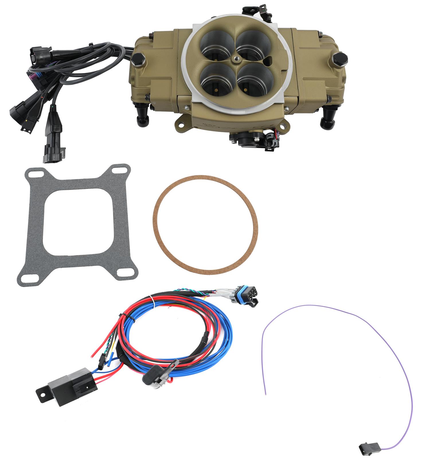 Holley Sniper 550-875 Holley Super Sniper EFI Stealth 4150 Fuel