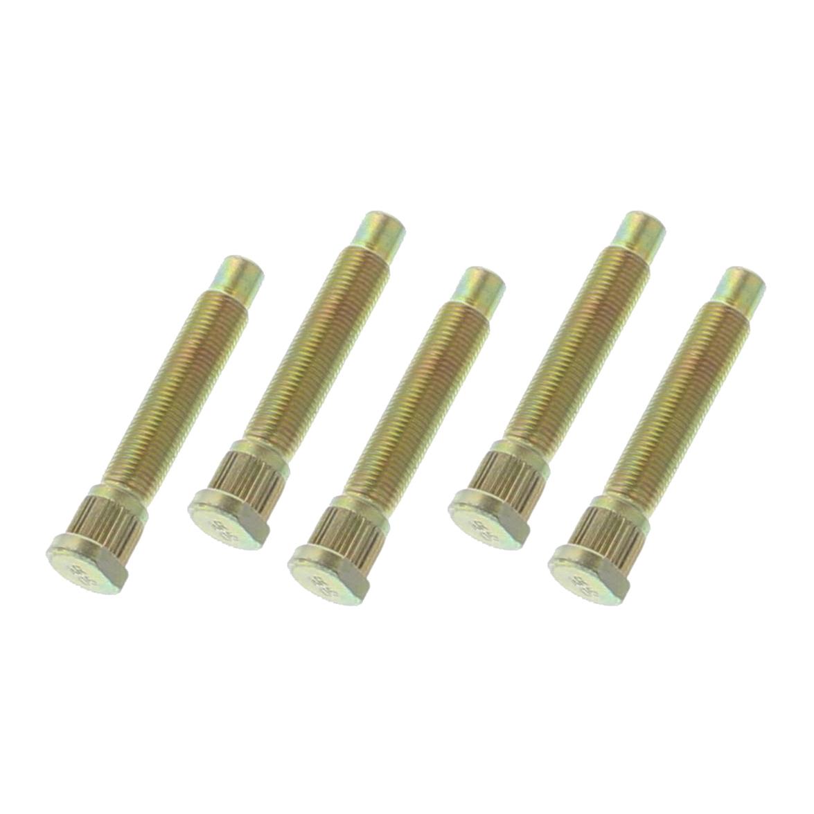 sum-910095_xl.jpg