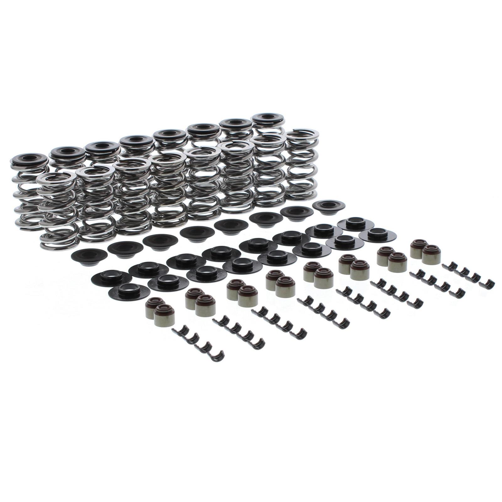 Summit Racing SUM87161DS Summit Racing™ Pro LS Camshaft & Spring Kits Summit Racing