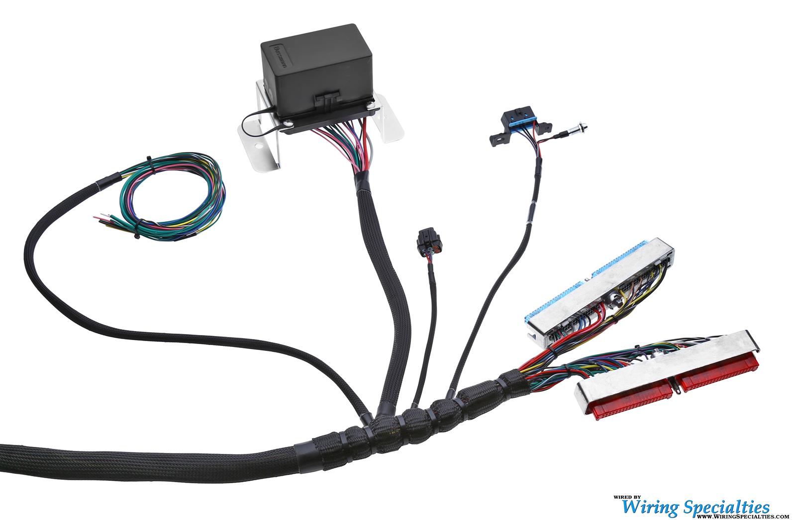 Wiring Specialties WPLS1UVF4L60 Wiring Specialties Pro Series LS1