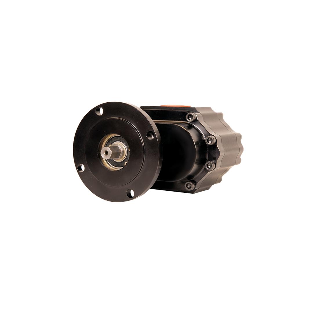 Waterman 21467 Waterman Racing Nostalgia LIL' Bertha Fuel Pumps