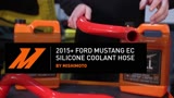 2015 Mustang EcoBoost Coolant Hose Kit F/B