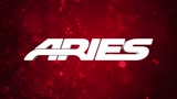 ARIES Bull Bars