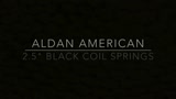 Aldan American 2.5_ I.D. Black Coilsprings