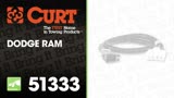 Curt Manufacturing 51333 Brake Control 