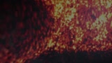 CanYourCarInteriorFryanEgg-Heatshield Products