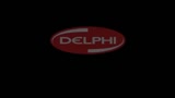 Delphi - Oxygen Sensors 101