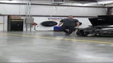 Haltech Fox Rebel Reel