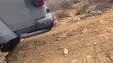 Hitch Sliders in Action!