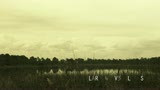 Mile Marker ES Winches in the Florida Everglades