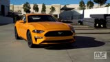 MagnaFlow2018MustangGTCat-BackExhaustSoundclip