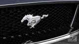 2018 Mustang GT - Black-Coated Cat-Back Exhaust