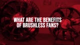 Benefits of Spal Brushless Fans