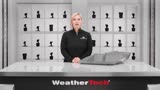 WeatherTech 4418681IM