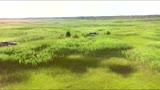 F150 V8 Comparison 0FG Exhaust Non-Res & Res