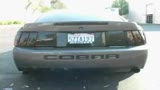 MagnaFlow Exhaust: 'Mustang Cobra Take-Off
